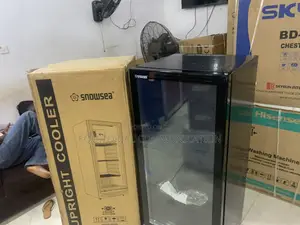 LC-270W Snowsea 270L Cooling Chiller