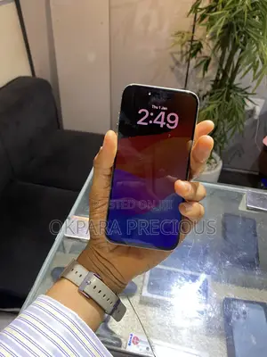 Apple iPhone 15 Pro Max 256 GB Gray