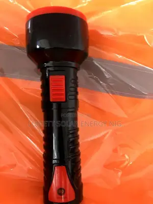 DP 1W Bright Portable Flashlight