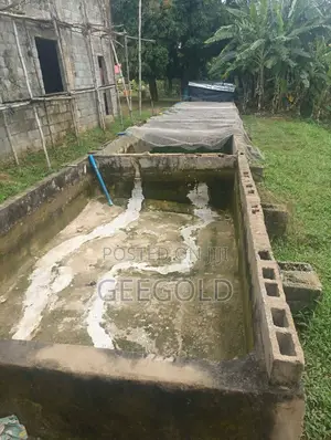 Fish Ponds for Rent at Phase 4 Bridge, Kubwa, Abuja