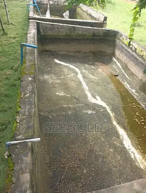 Fish Ponds for Rent at Phase 4 Bridge, Kubwa, Abuja