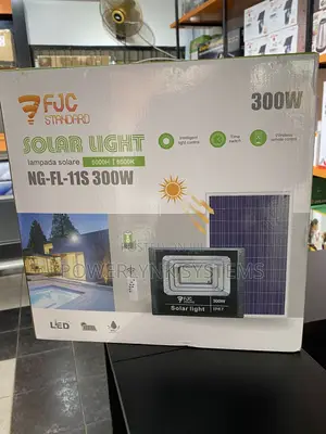 FJC 300W Solar Light