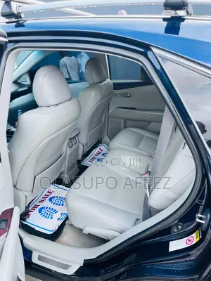 Lexus RX 2010 Blue