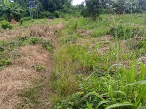 500 Acres of Farm Land for Sale in Ibadan, Oyo State
