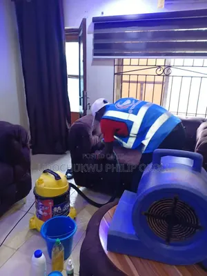 Professional Sofa and Rug Cleaning