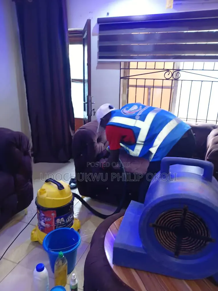 Professional Sofa and Rug Cleaning