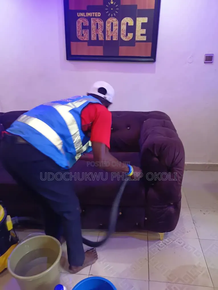 Professional Sofa and Rug Cleaning