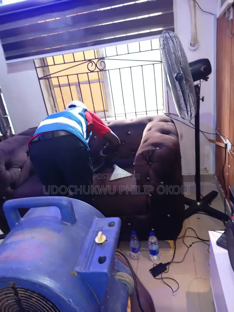 Professional Sofa and Rug Cleaning
