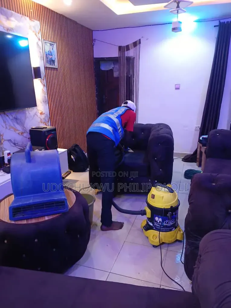 Professional Sofa and Rug Cleaning