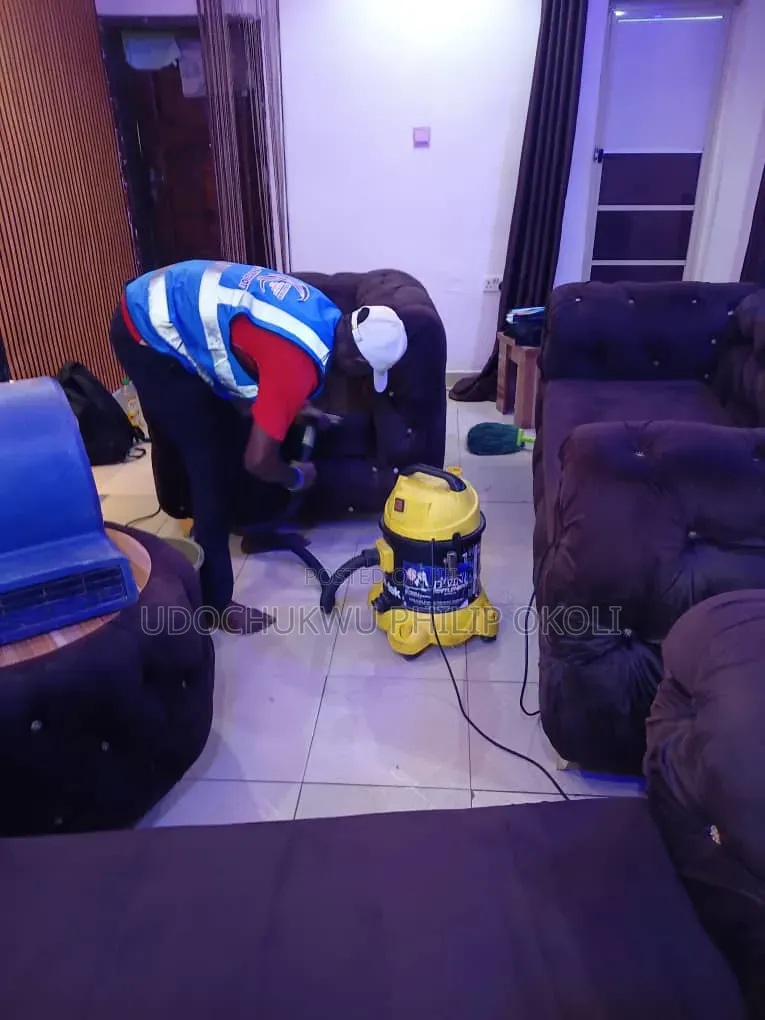 Professional Sofa and Rug Cleaning