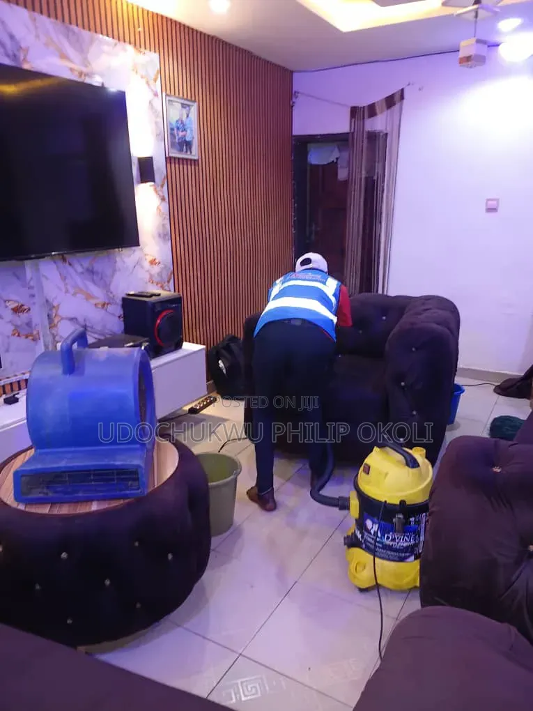 Professional Sofa and Rug Cleaning
