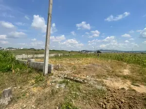 Land for Sale!