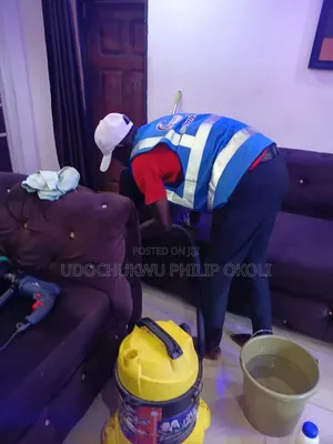 Professional Sofa and Rug Cleaning
