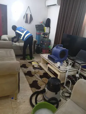 Professional Sofa and Rug Cleaning