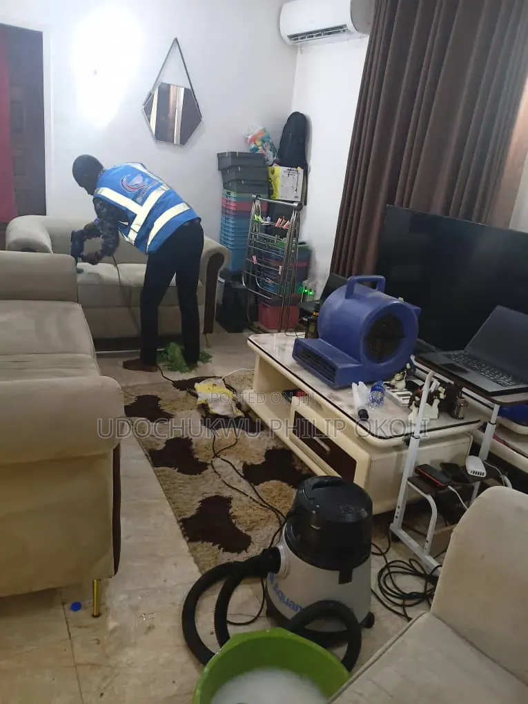 Professional Sofa and Rug Cleaning