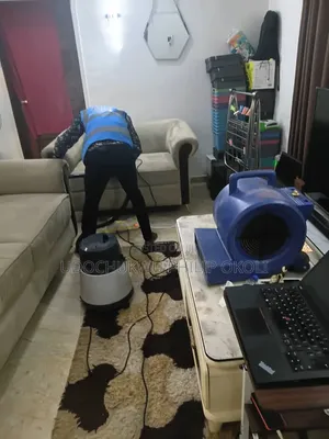 Professional Sofa and Rug Cleaning