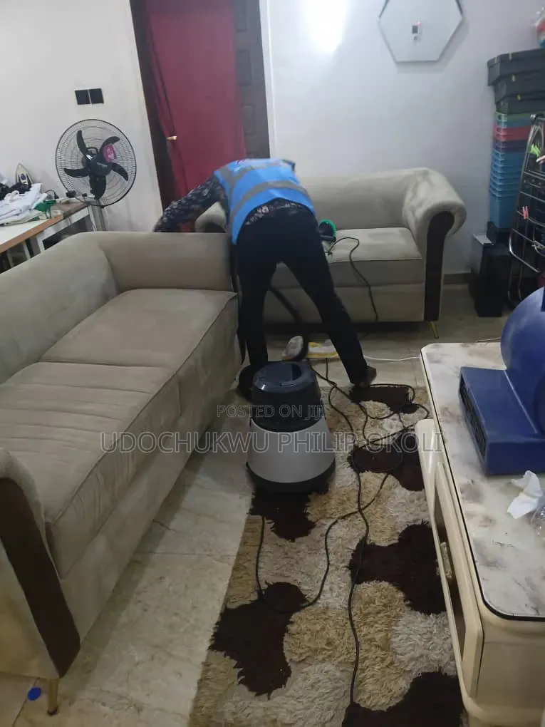 Professional Sofa and Rug Cleaning