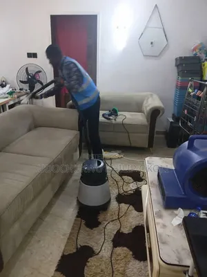 Professional Sofa and Rug Cleaning