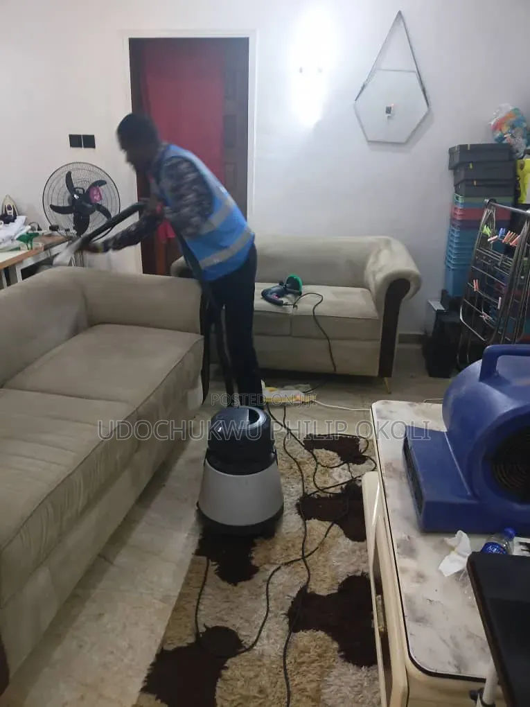 Professional Sofa and Rug Cleaning