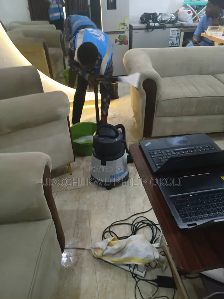 Professional Sofa and Rug Cleaning