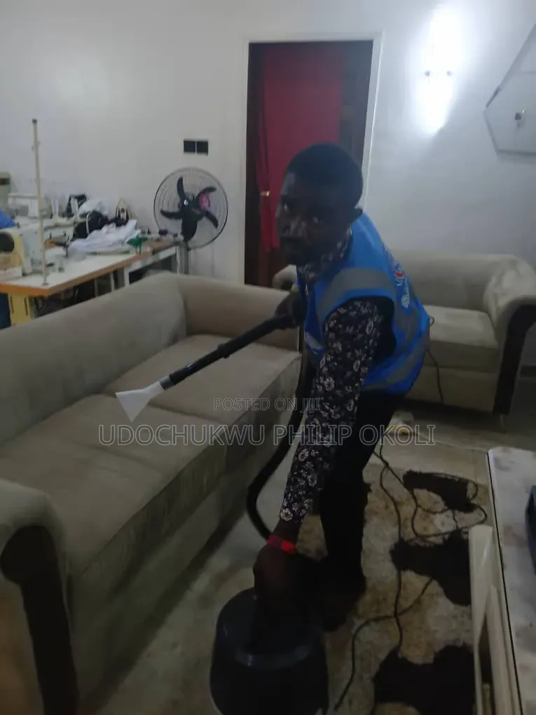 Professional Sofa and Rug Cleaning