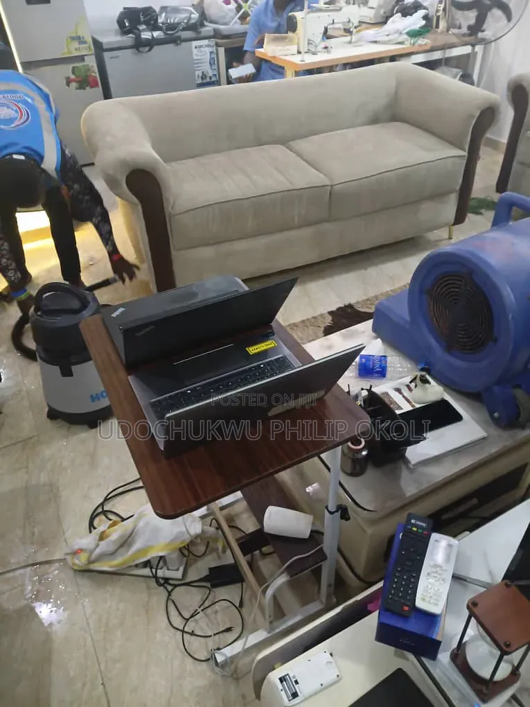 Professional Sofa and Rug Cleaning
