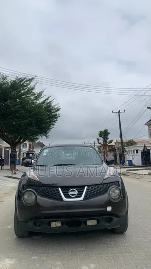 Nissan Juke 2011 Gray