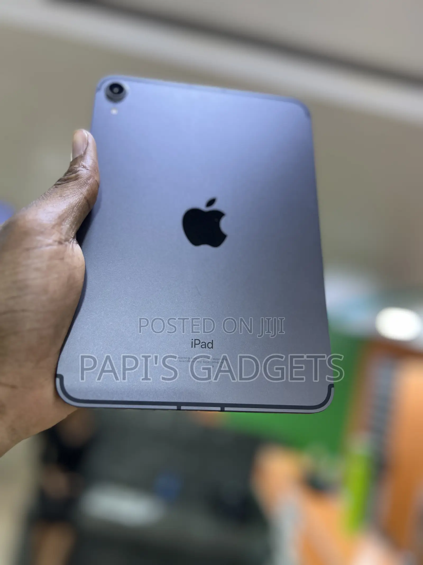 Apple iPad mini 6 256 GB Gray