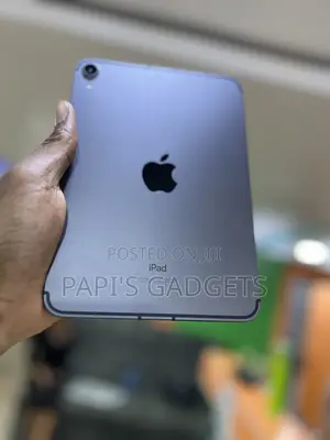 Apple iPad mini 6 256 GB Gray