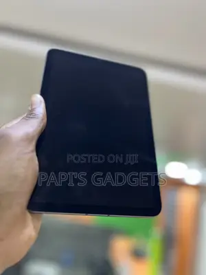 Apple iPad mini 6 256 GB Gray
