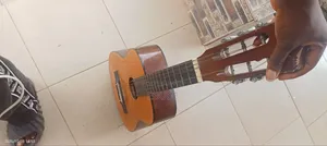 Acoustic Guitar