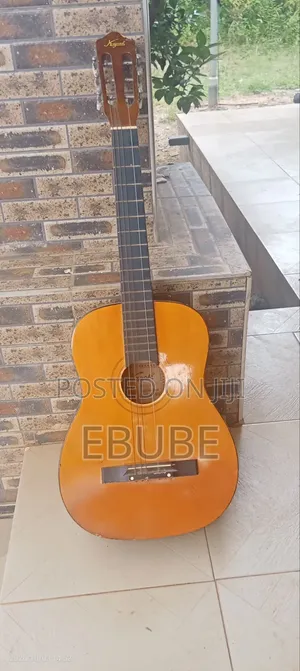 Acoustic Guitar