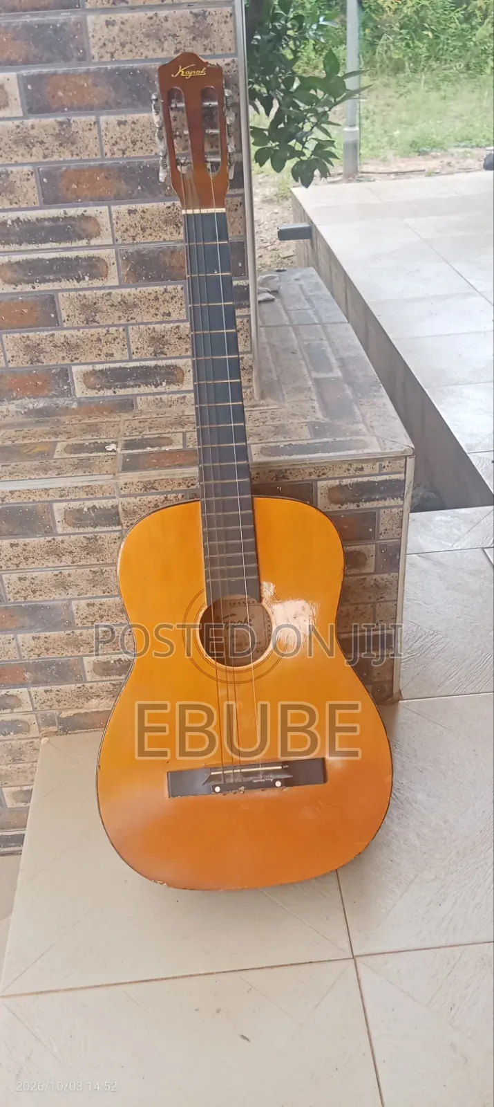 Acoustic Guitar