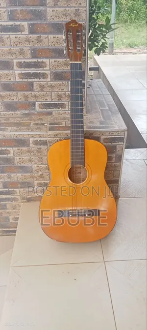Acoustic Guitar