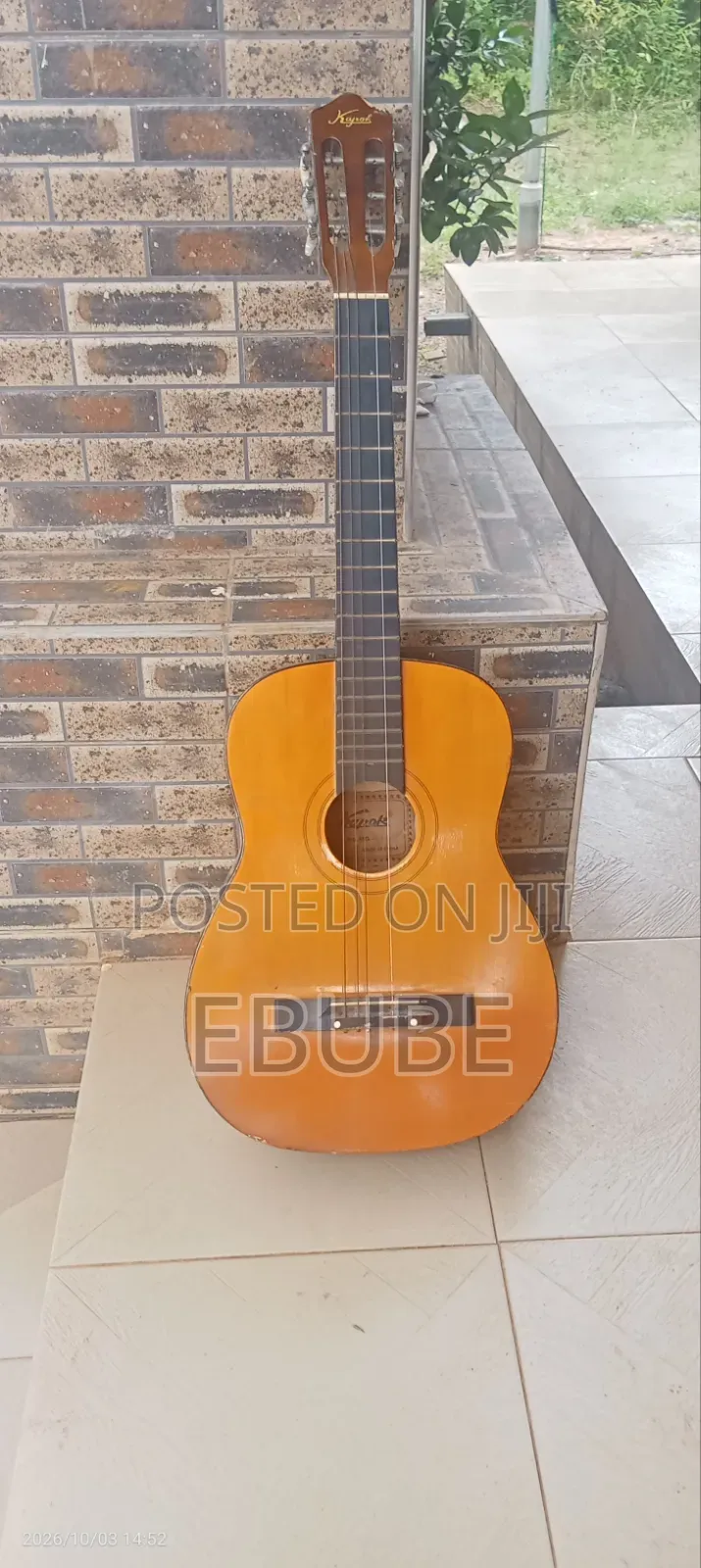 Acoustic Guitar