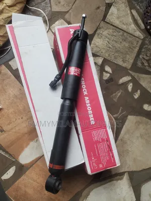 Back Shock Gx470