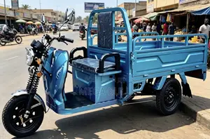 New Tricycle 2026 Blue