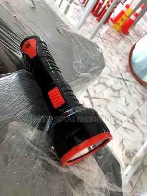 DP 1W Durable Portable LED Torch Light