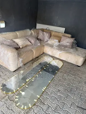 Two and Three Seater Couches