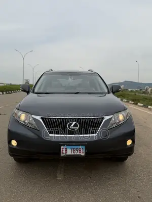 Lexus RX 350 2010 Gray