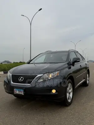 Lexus RX 350 2010 Gray