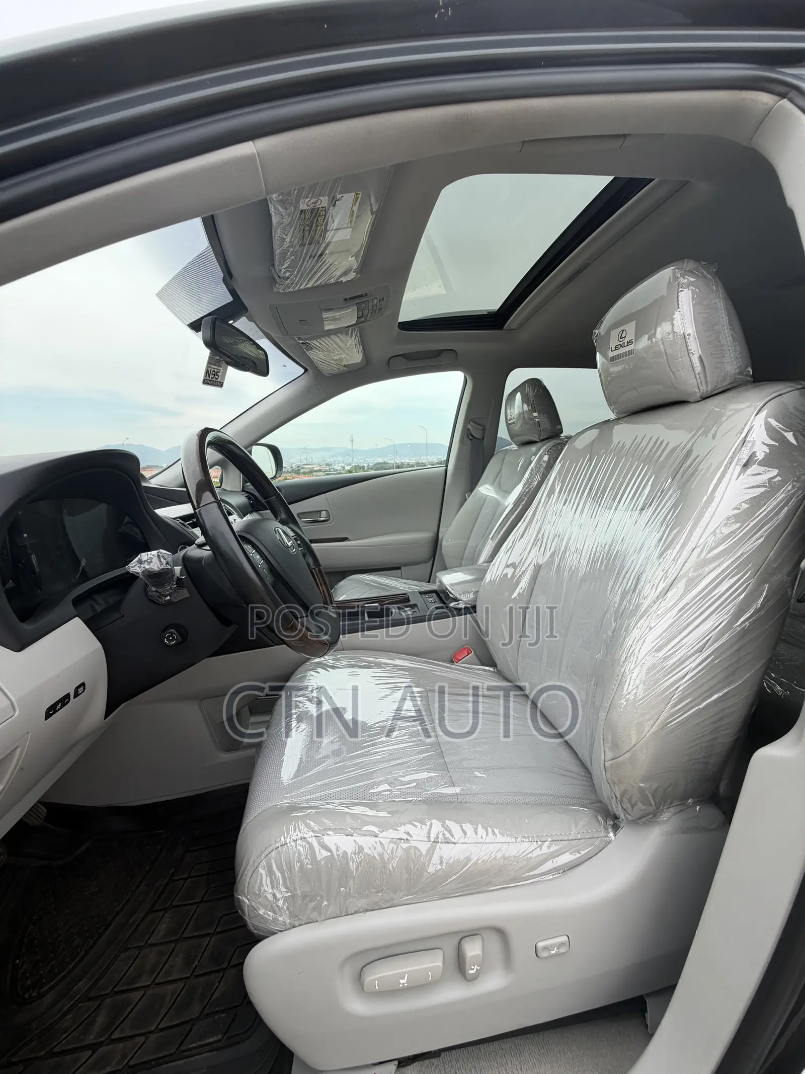 Lexus RX 350 2010 Gray