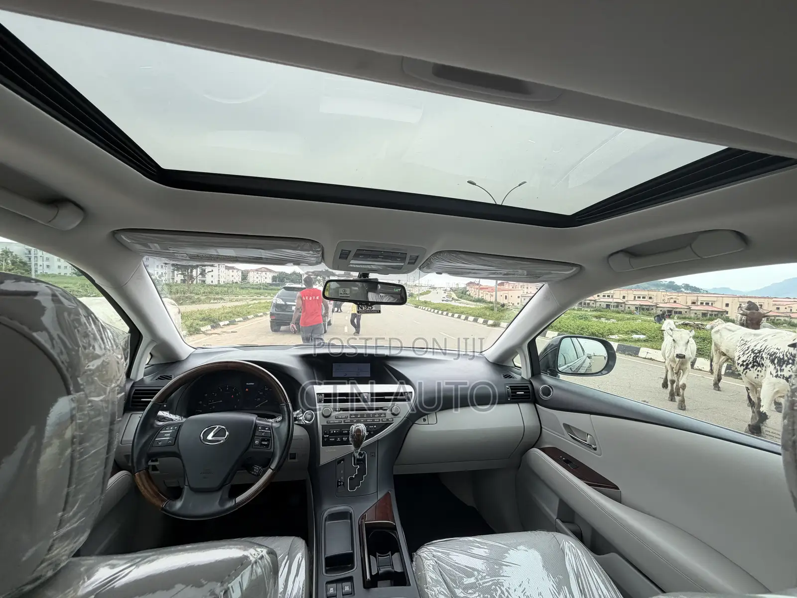 Lexus RX 350 2010 Gray