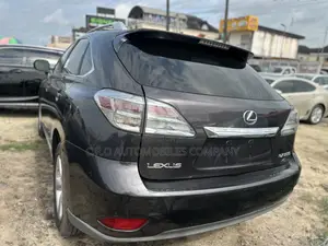 Lexus RX 350 2010 Gray