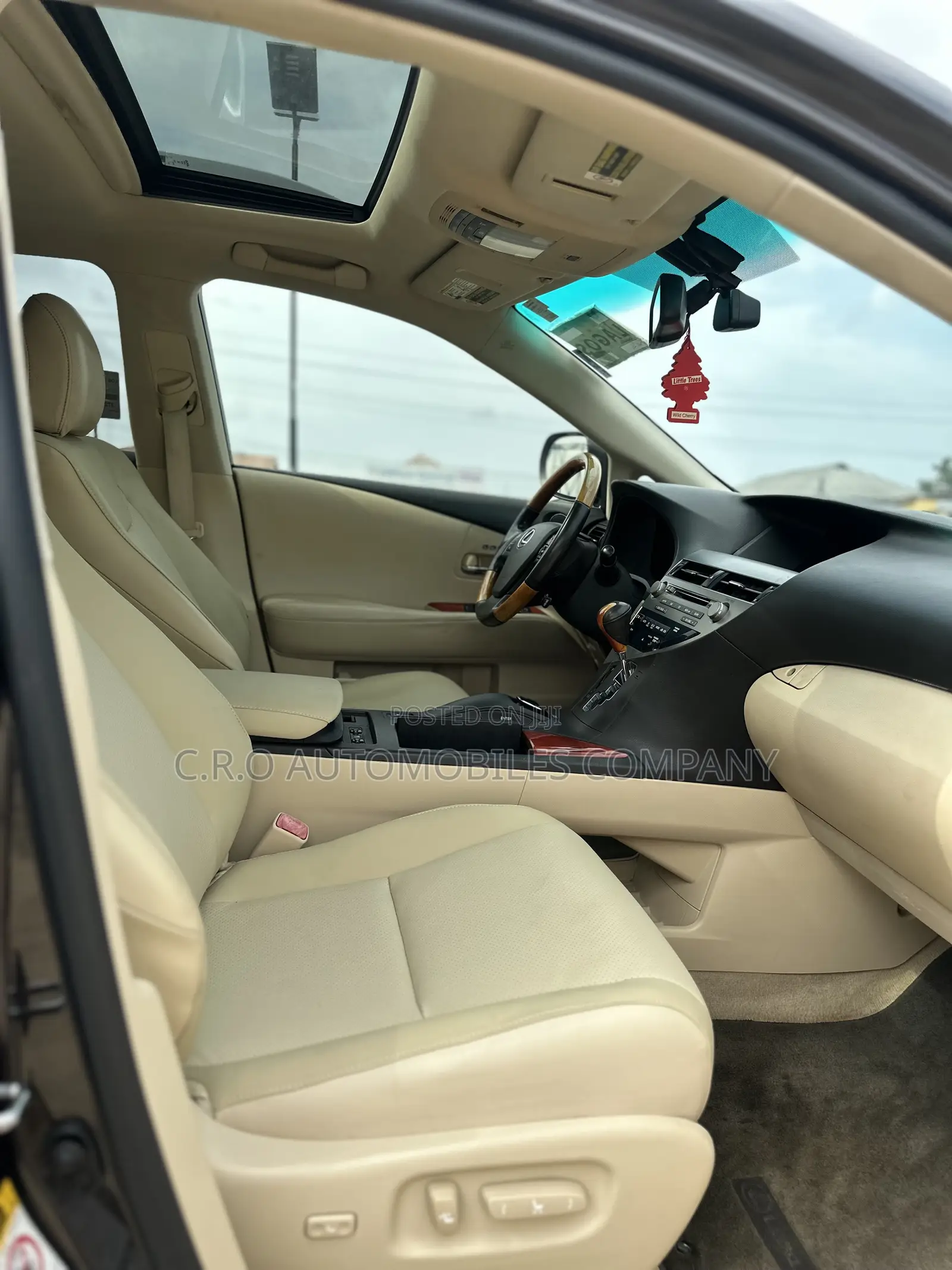 Lexus RX 350 2010 Gray