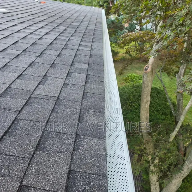 Roof Edge Gutter Service