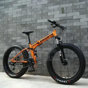 21 Gear Foldable Fat Tyre Bike