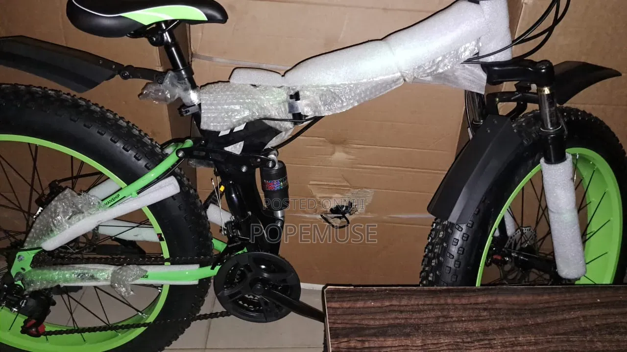 21 Speed Foldable Fat Tyre Bike