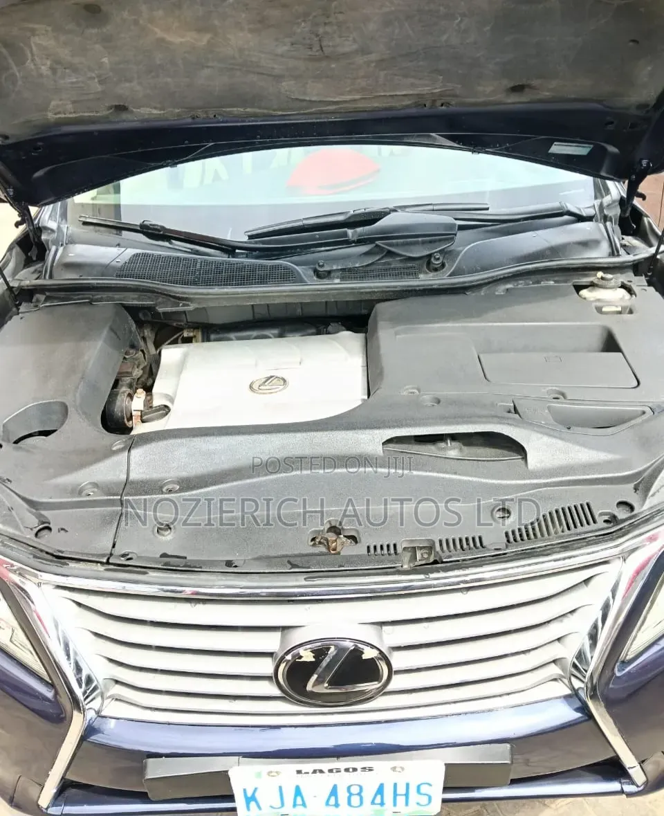 Lexus RX 2010 Blue