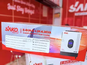4.2kVA E-Sun-B Inverter – Solar & Home Backup System